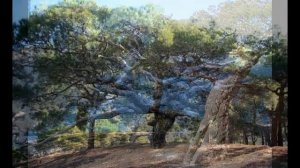 урочище Аязьма