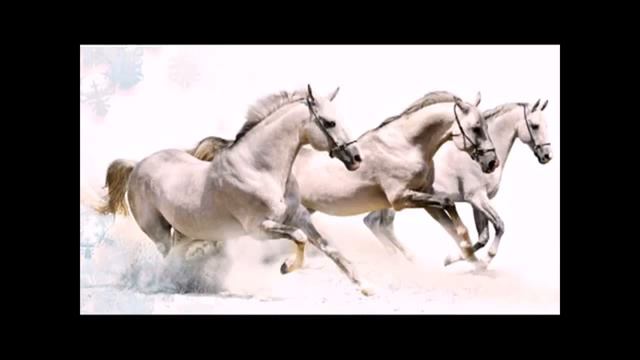 Тройка автор Марина Шураева смотреть онлайн