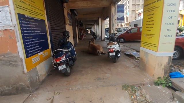 7.01.23г. первый день на Гоа. обзор жилья. смотреть онлайн