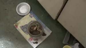 Готовлю ловушку для тараканов. С какой стороны мазать банку маслом
