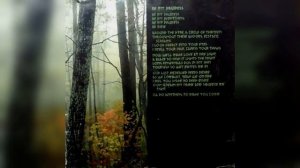 Type O Negative - Be My Druidess