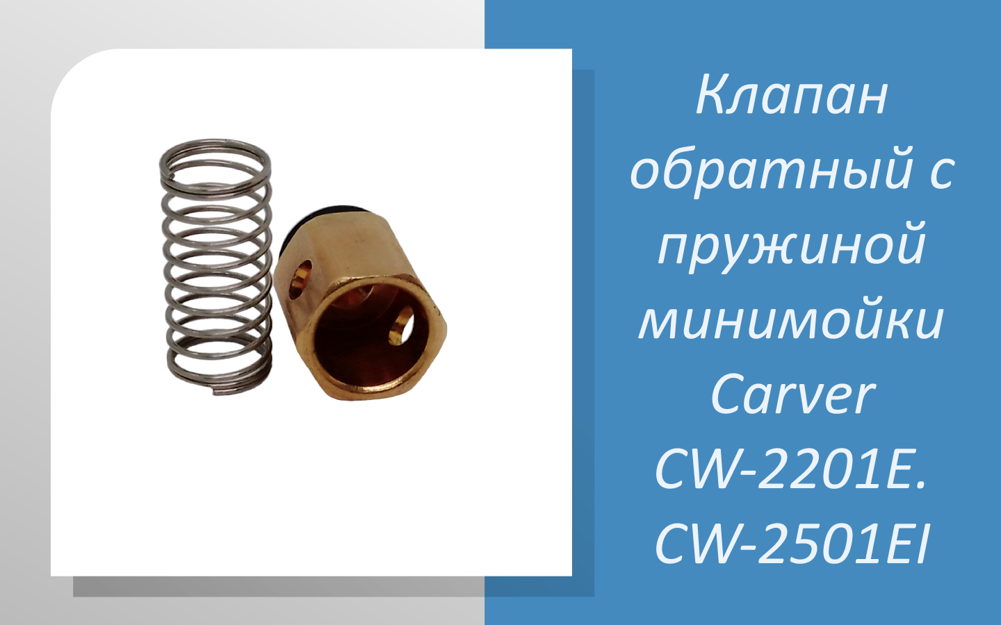 Клапан обратный с пружиной минимойки Carver CW-2201Е. CW-2501EI