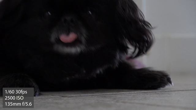 Sony a7Riii 4k Video Test
