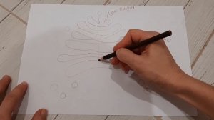 Строение и функции АГ. Аппарат Гольджи. Комплекс Гольджи строение