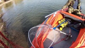 Лодка "AZIMUT"!!!! С пробитым носовым баллоном на глиссер!!! (Без комментариев...)