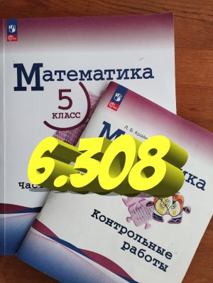 математика 5 класс номер 6.308