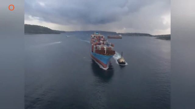 Marinka Suweys oo si kadis u xerme,   |Saameen nuuce ah uu Ku yeela karaa dhaqalaha Caalamka|