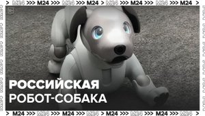 Российские инженеры создали новую версию робота-собаки: "Техно" - Москва 24