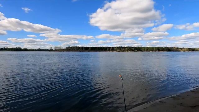 ПРОВЕРИЛ НОЧНЫЕ СНАСТИ И ОШАЛЕЛ! Схватила ДИКАЯ ЗВЕРИНА и... ТАЩИТ В ВОДУ! смотреть онлайн