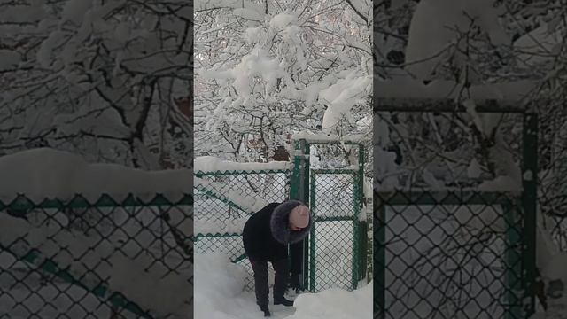 Как спасти мир, не выходя из дома? Чистить снег вручную!