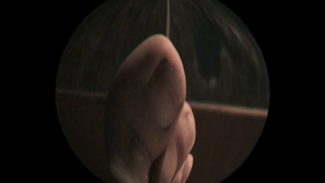 2005 тестируем видеокамеру canon, а точнее аппаратные эффекты в ней :) смотреть онлайн