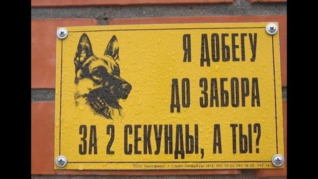 Смешные надписи №1 Подборка. Ржака. Юмор. Позитив. смотреть онлайн