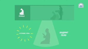 Пять столпов Ислама. Значение столпов Ислама