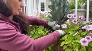 Planting the Last of the Annuals