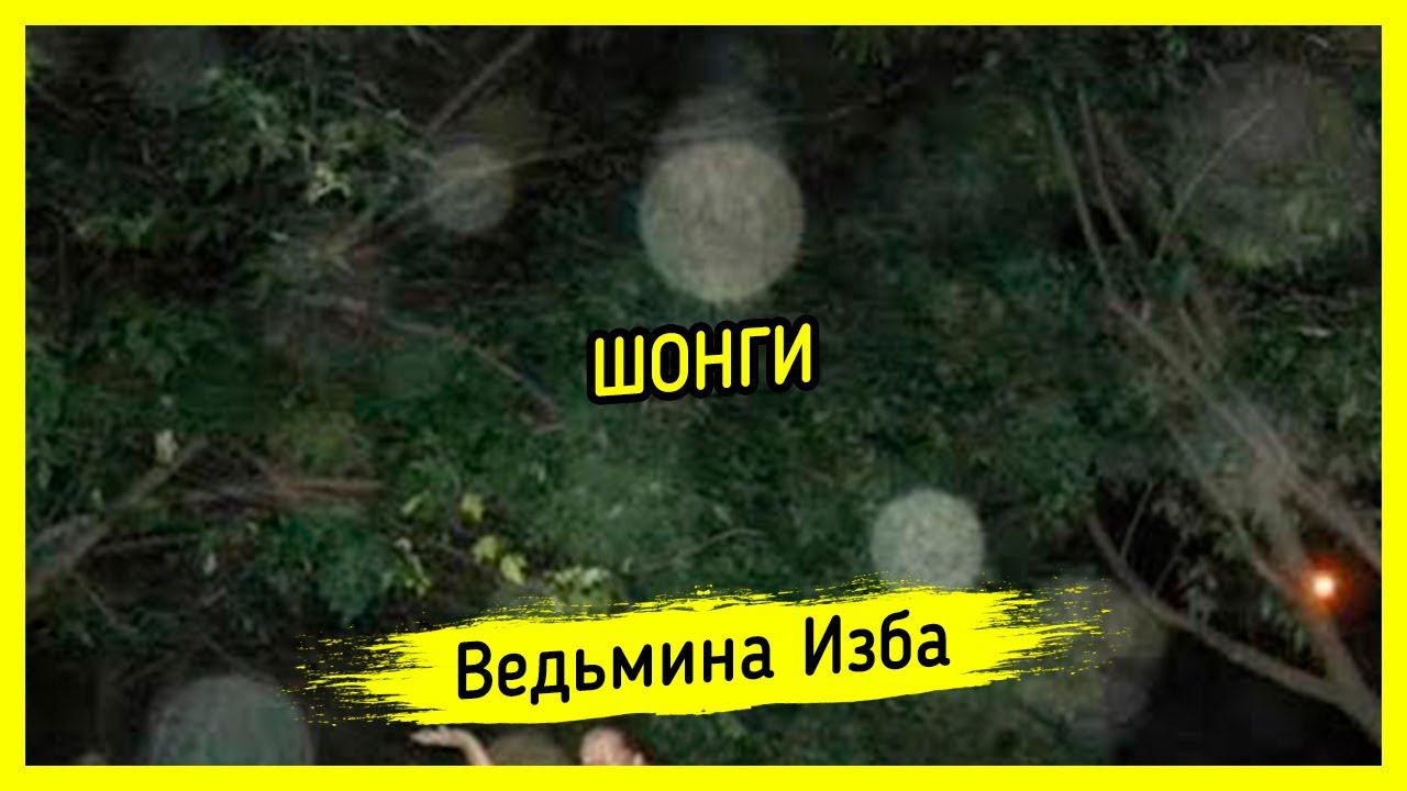 ШОНГИ. #ВЕДЬМИНАИЗБА ▶️ #МАГИЯ