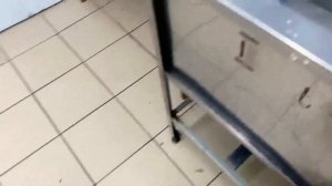 Травим тараканов Холодным Туманом