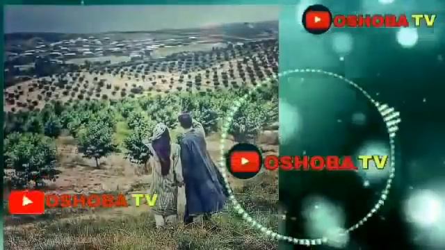 ТУЙБОБ КУШИКЛАР УЗБЕКЧА ШУХ ТЕРМА смотреть онлайн