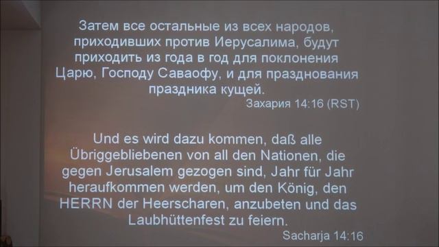 Суккот смотреть онлайн