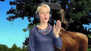 Беловежская пуща