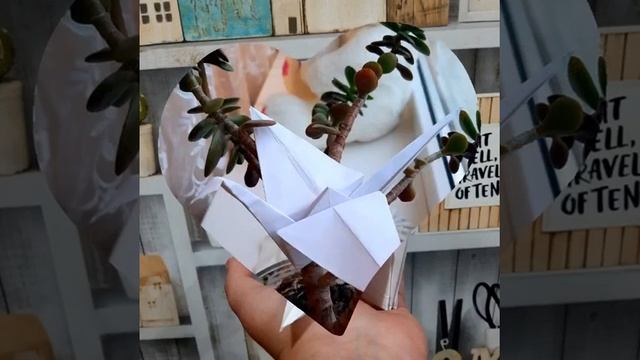 День белых журавлей 7б смотреть онлайн