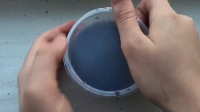 ВЫРАЩИВАНИЕ ПИТАХАЙИ В ДОМАШНИХ УСЛОВИЯХ! МОЙ ЛИЧНЫЙ ОПЫТ! смотреть онлайн