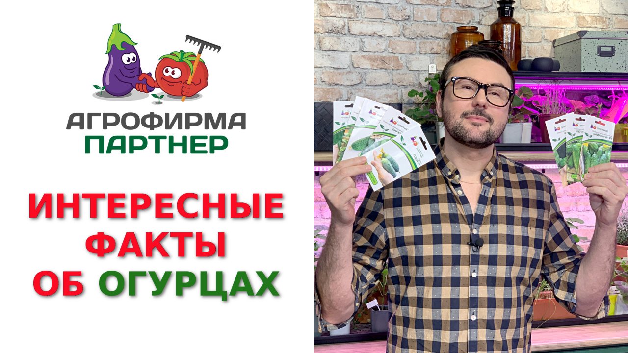 ИНТЕРЕСНЫЕ ФАКТЫ ОБ ОГУРЦАХ