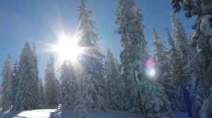 Georgiy Sviridov. Свиридов. Отзвуки вальса(к.ф. Метель)