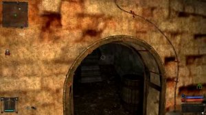 S.T.A.L.K.E.R. Zolotoj Shar. Zavershenie №5 Артефакт на дереве.