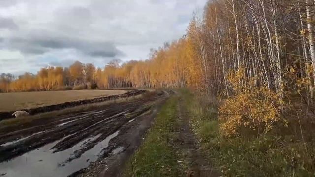 Пробуждение/активация Звездных душ и обычных Жителей. смотреть онлайн