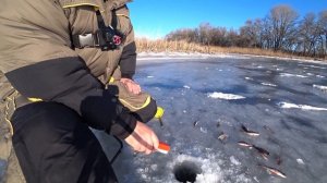 ШОК! Ловля ОКУНЯ ?? Зимой на ЭЛЕКТРОУДОЧКУ