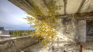 Сталкер топ релакс фм  музыка  Подпишись не пропускай новинки #stalker