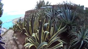 Барселона. Сан-Жузеп (Бокерия). Монжуик. Храм святого семейства. Магический фонтан. Стадион и др.