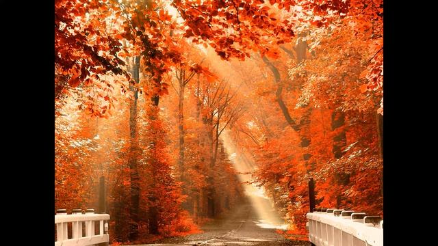 Элегия смотреть онлайн