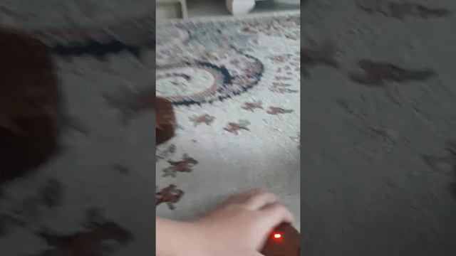 МНЕ 8 ЛЕТ!!!😁😁😁 ПАЗДРАВЛЯЮ ВАС КАКДА У ВАС БУДЕТ ДЕН РОЖДЕНИЯ😉😉😉 смотреть онлайн