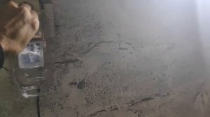 Как повысить яйценоскость кур.