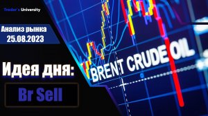 Анализ рынка 25 08 2023  Доллар Рубль Юань Биткоин Золото Нефть CME Forex