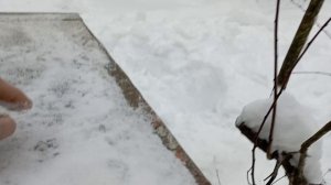 Катер Днепр. Часть 1. Продажа.  Санкт-Петербург и соседние области. Доставка.