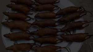 Самые ужасные и отвратительные блюда мира