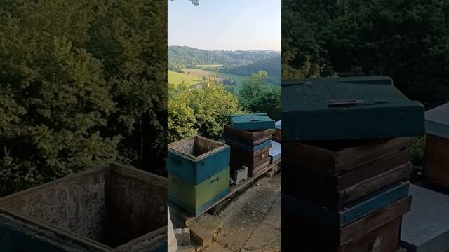 рамки ремонт, обсушка ванны после откачки мёда смотреть онлайн