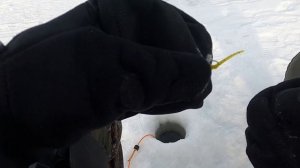 Подсадка на мормышку. Зимняя рыбалка на окуня.