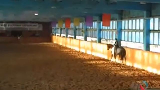 СП Салават — экскурсия Конноспортивный комплекс «Тулпар» Мелеуз смотреть онлайн