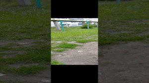 новые качели