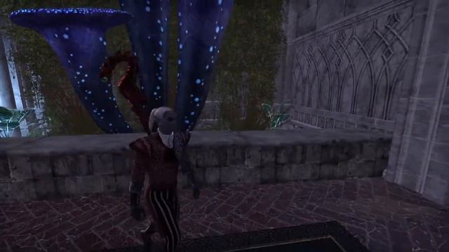 Elder Scrolls Online: Indoor garden смотреть онлайн