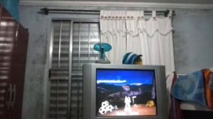 Madagascar 2 o jogo destruindo o. Chique