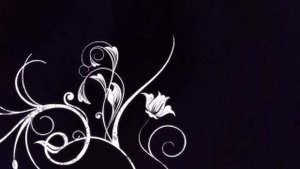 「Футаж」Узор на чёрном фоне