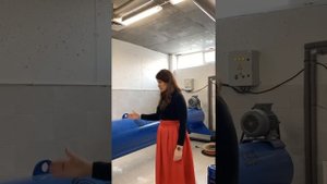 Экскурсия по Фабрике чистки ковров Белки