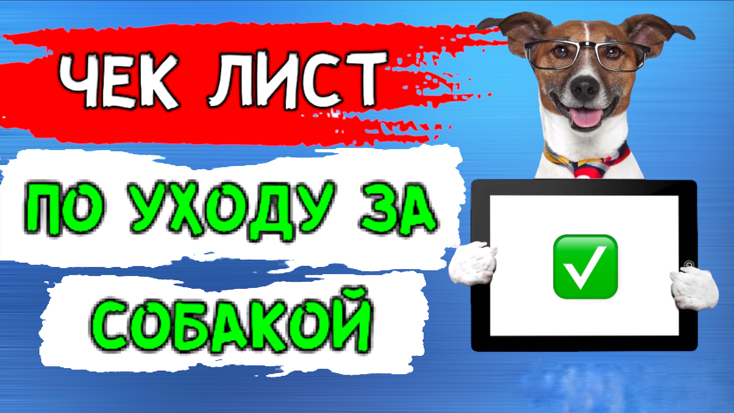 Чек лист - по уходу за собакой. смотреть онлайн