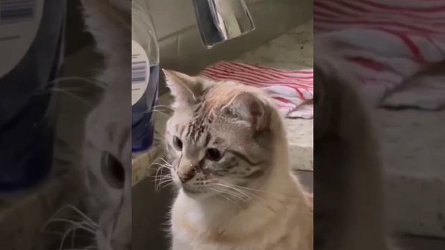 я не плачу, это дощ