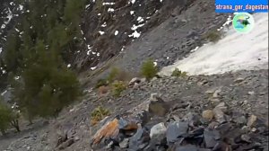 Сход лавины в горах Дагестана