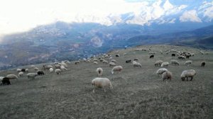 село Микрах 04 10 2016г